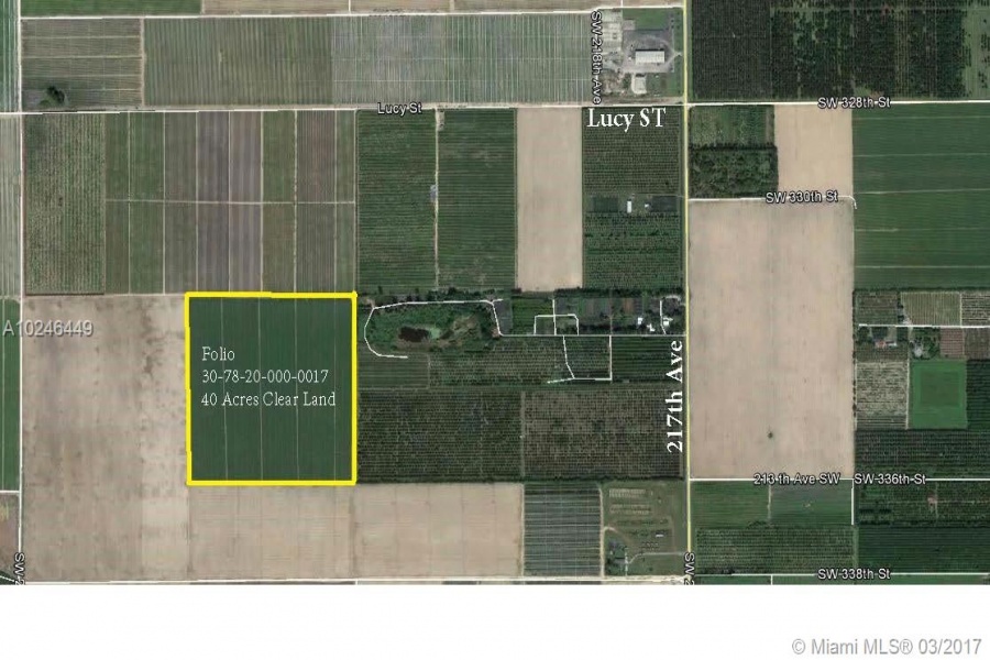 Homestead,Florida 33034,Commercial Land,217 Ave,A10246449