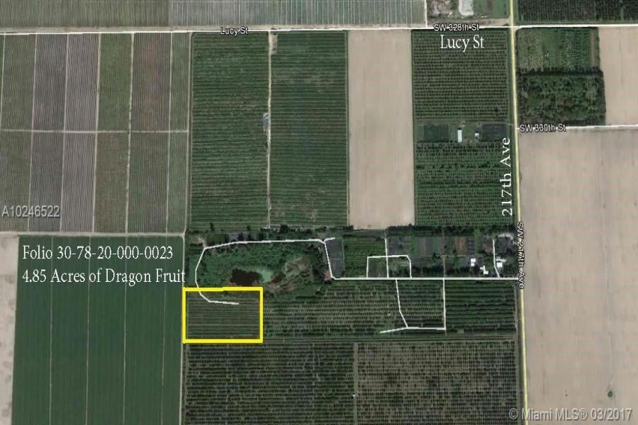 Homestead,Florida 33034,Commercial Land,217 Ave,A10246522