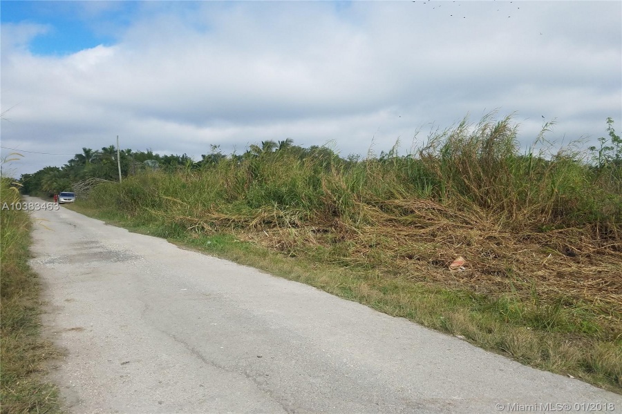 Miami,Florida 33196,Commercial Land,202 Ave,A10383463