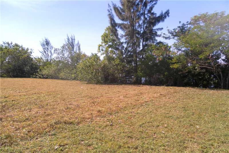 Sunrise,Florida 33323,Commercial Land,136 AV,A2064313