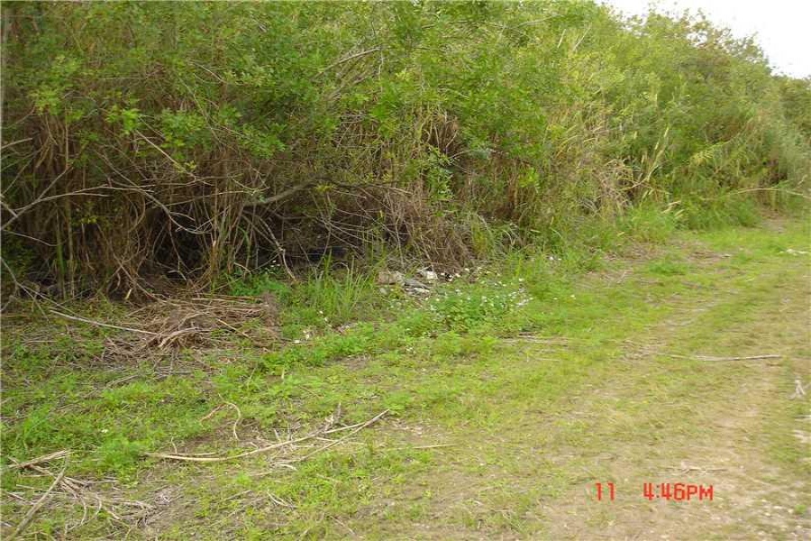 Miami,Florida 33187,Commercial Land,207 AVENUE,A2071056