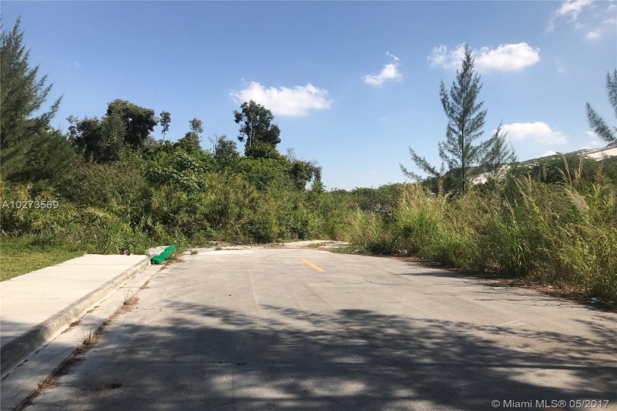 Doral,Florida 33178,Commercial Land,A10273569