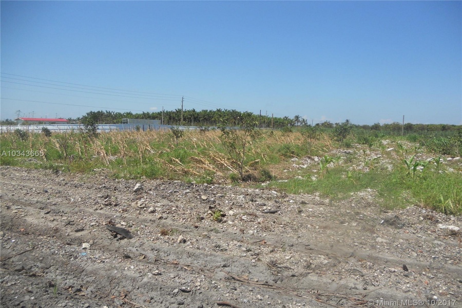 Miami,Florida 33196,Commercial Land,197 ave,A10343665