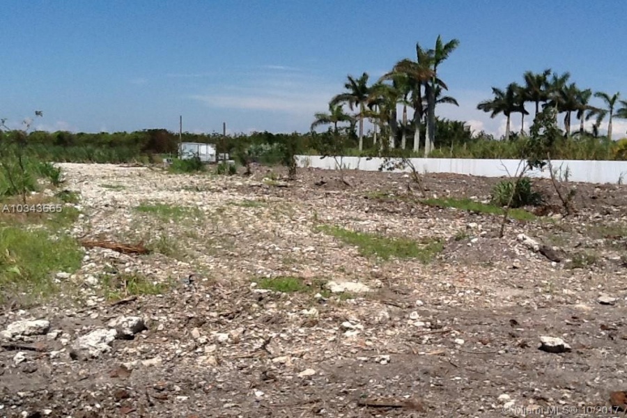 Miami,Florida 33196,Commercial Land,197 ave,A10343665