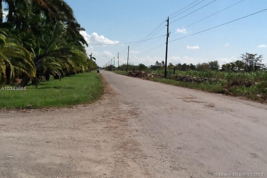 Miami,Florida 33196,Commercial Land,197 ave,A10343665