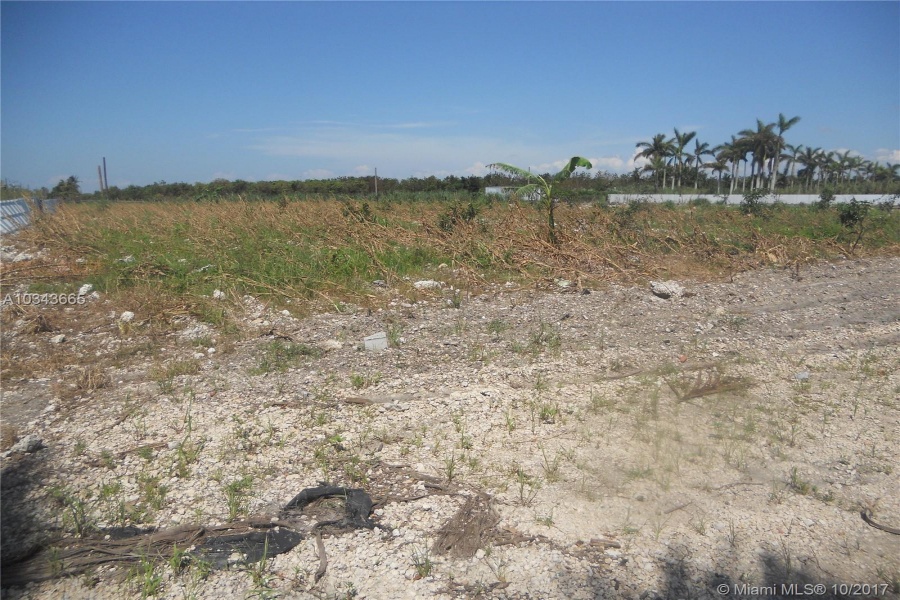 Miami,Florida 33196,Commercial Land,197 ave,A10343665