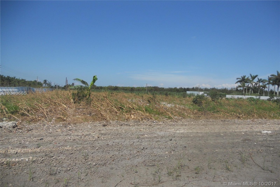 Miami,Florida 33196,Commercial Land,197 ave,A10343665