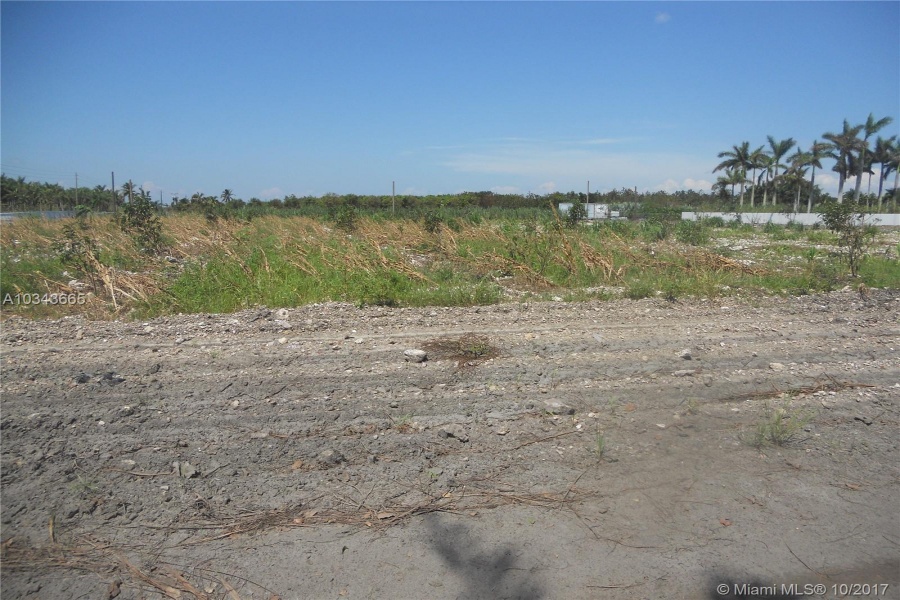 Miami,Florida 33196,Commercial Land,197 ave,A10343665