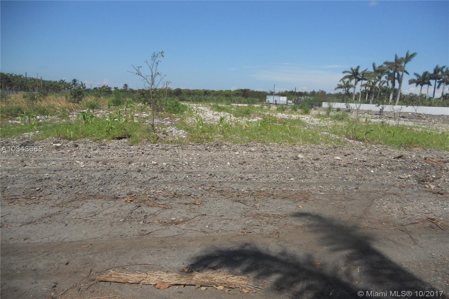 Miami,Florida 33196,Commercial Land,197 ave,A10343665