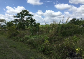 Homestead,Florida 33034,Commercial Land,215 Ave,A10128195