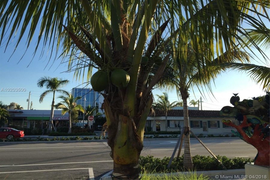 Lauderdale By The Sea,Florida 33308,Commercial Land,Commercial Blvd,A10203500