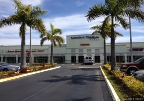 Miami,Florida 33175,Commercial Property,142 Ave,A10379980